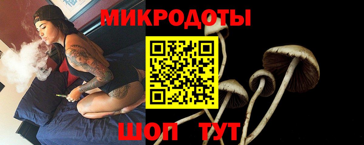 Чехов  Псилоцибиновые грибы мицелий  купить   Вход с VPN 